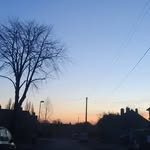 Lilly Mckee - @mckeelillyrose126 - Instagram