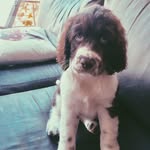 Lilly Mitchell - @_lilly_mitchell_ - Instagram