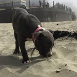 Lilly Molina - @lillymolina1 - Instagram