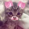Lilly Mullen - @lilly.mullen74 - TikTok