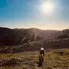 lilly_obrien0 - @lilly_obrien0 - TikTok
