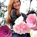 Lilly Perkins - @lillyperkins35 - Instagram