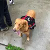 Lilly Porter - @lilly._.porter09 - TikTok