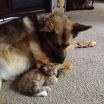 Lilly Porter - @porter_lilly - Instagram