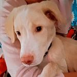 Lilly Eliza Ramos - @lillyramos95 - Instagram