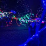 Lilly Ramsey - @lillyramsey.0 - Instagram