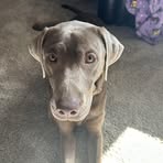 Lilly Reed - Facebook