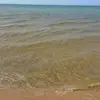 Lilly reed - @the.sigma501 - TikTok
