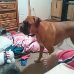 lilly riggs - @riggs_lilly - Instagram