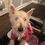 Lilly Rogers - @lilly_bug_love225 - Instagram
