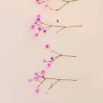 Lilly Rosa Harper - @lillyrosaharper78 - Instagram