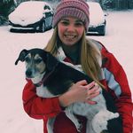 Lilly Ross - @lillythebeagle__ - Instagram