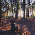 Lilly Ross - @lillyrossphotography - Instagram