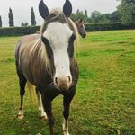 lilly-marie Rowley - @lillymarie_official - Instagram