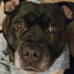 Lily Rowley - @lily.rowley.566 - Instagram