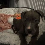 Lilly - @_lilly.singletons - Instagram