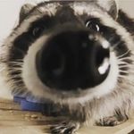 Lily Snell - @lilly_snell7 - Instagram