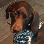 Lilly Spence - @lillyospence - Instagram