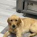 Lilly Spence - Facebook