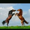 Lilly Steiner - @0.lilly.6 - TikTok