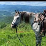 Lilly Stephens - @nacho_the_barrel_pony_ - Instagram