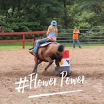 Lilly Stephens - @barrel_racing_teen - Instagram