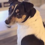 Lilly ‘Little Bug’ Tanner - @l.i.t.t.l.e.b.u.g - Instagram