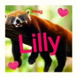 Lilly Tate - @twirlybird46 - Instagram