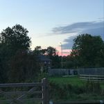 Tate-lilly - @tate_lilly123 - Instagram