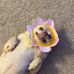 Lilly Todd - Facebook