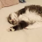 lilly tuttle - @lillytuttle123 - Instagram