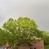 Lilly Vincent - @lilly.vincent2 - TikTok