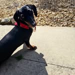 Lilly Vincent - @lillyfach - Instagram