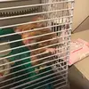 Lilly Vincent - @dusty769 - TikTok
