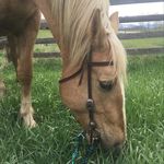 Lilly Waldron - @lillys_photos04 - Instagram