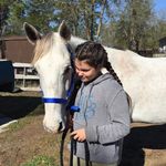 Lily Waldron - @hopeful_hunter_ - Instagram