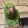 Lilly - @lilly..walters - TikTok