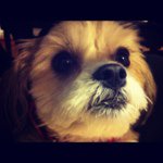 Lilly walters - @lillywalters - Instagram