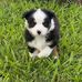 Lilly Walters - Facebook
