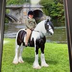 Lilly ward - @lillyward215 - Instagram