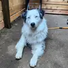 Lilly Ward - @lilly.ward10 - TikTok