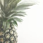 Lilly Webster - @lilly_webster_ - Instagram