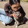 lilly.wei - @lilly.wei - TikTok