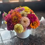 Lilly Wells - @lilly_w06 - Instagram
