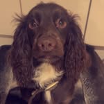 lilly wells - @lillywells20092020 - Instagram