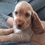 lilly wells - @lillywellss - Instagram