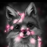 Lilly Zimmer - @lilly_zimmer_15 - Instagram