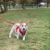 Lily Albert - @lily.albert5 - TikTok