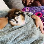 Lily Arias - Facebook