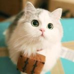 Lily Arias - Facebook